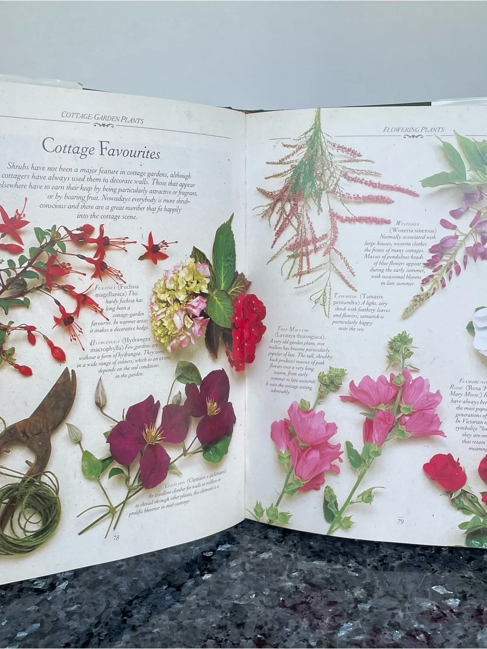The Cottage Garden By Christopher Lloyd & Richard Bird, Hard Cover Book
